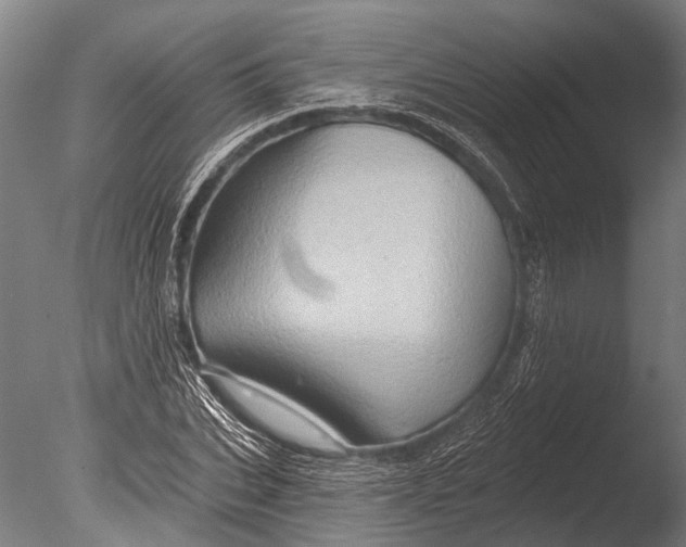 X0000085060927200703261201