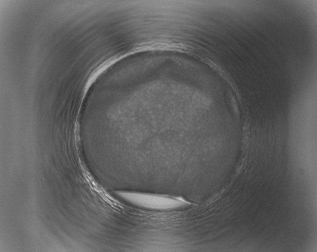 X0000085060928200703261201