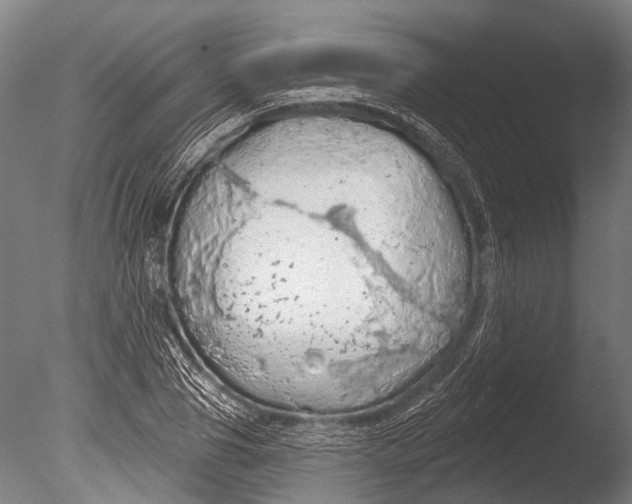 X0000085060929200703261201