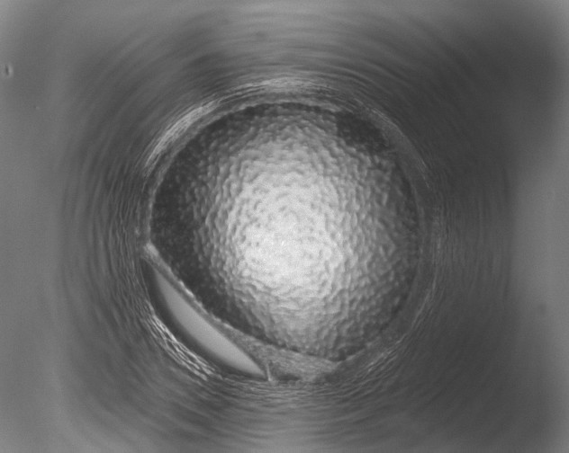 X0000085060930200703261201