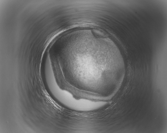 X0000085060932200703261201