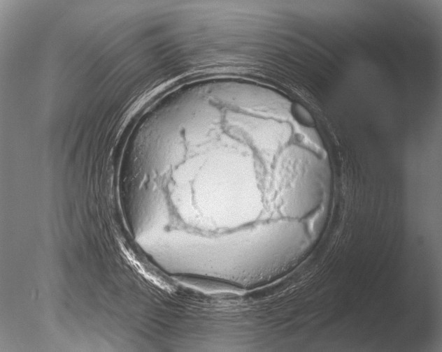 X0000085060933200703261201