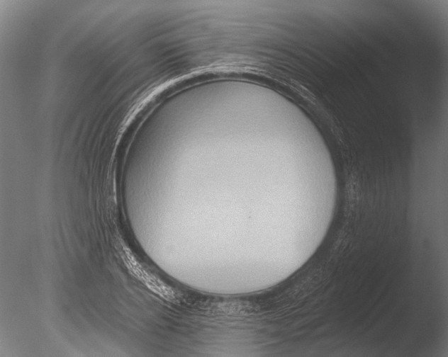 X0000085060934200703261201