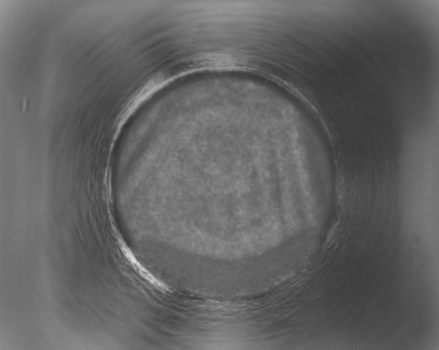 X0000085060935200703261201