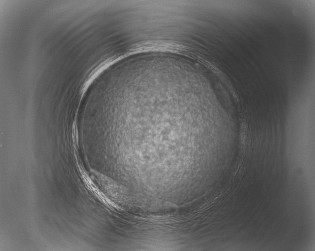 X0000085060936200703261201