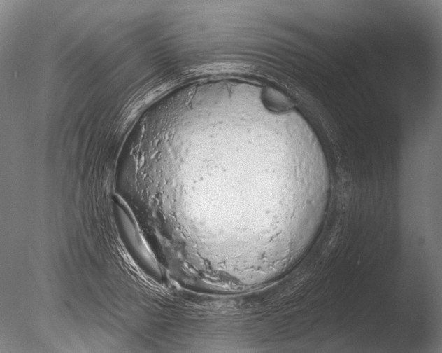 X0000085060937200703261201