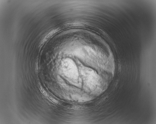 X0000085060938200703261201