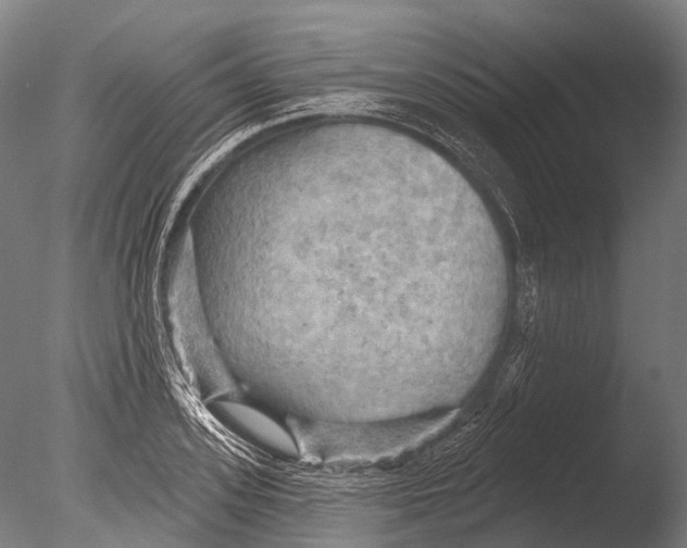 X0000085060939200703261201