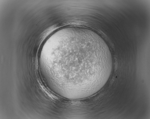 X0000085060940200703261201