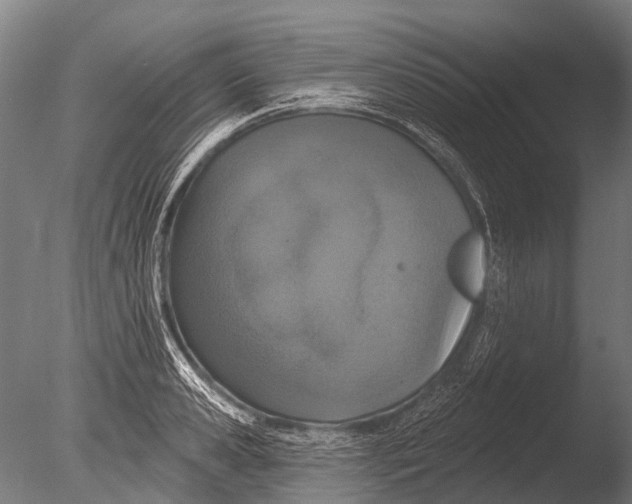 X0000085060941200703261201