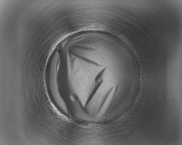 X0000085060942200703261201