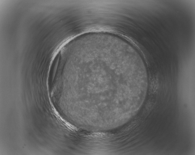 X0000085060943200703261201