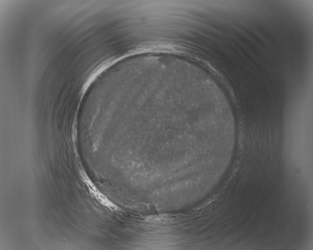 X0000085060944200703261201