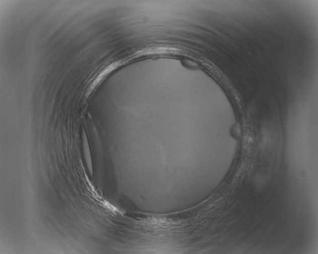 X0000085060945200703261201