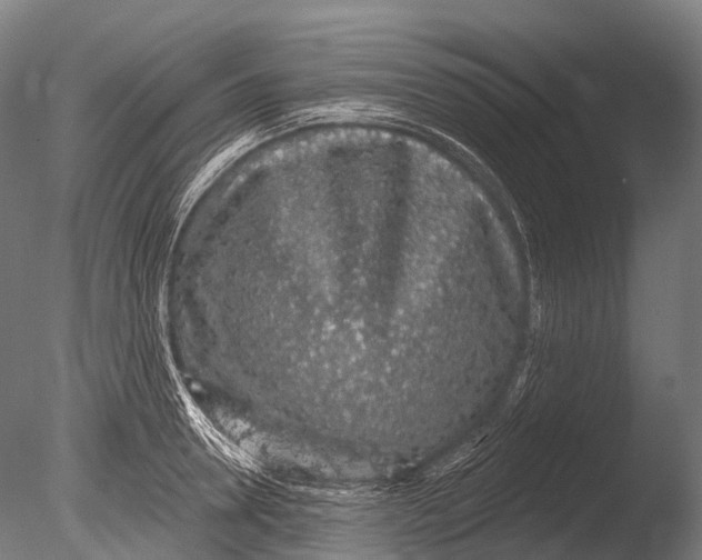 X0000085060946200703261201