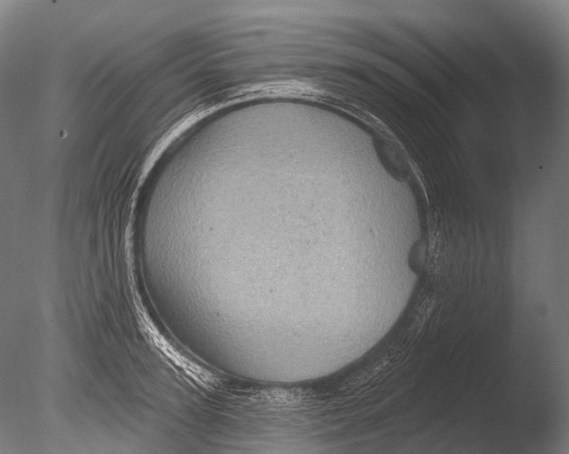 X0000085060947200703261201