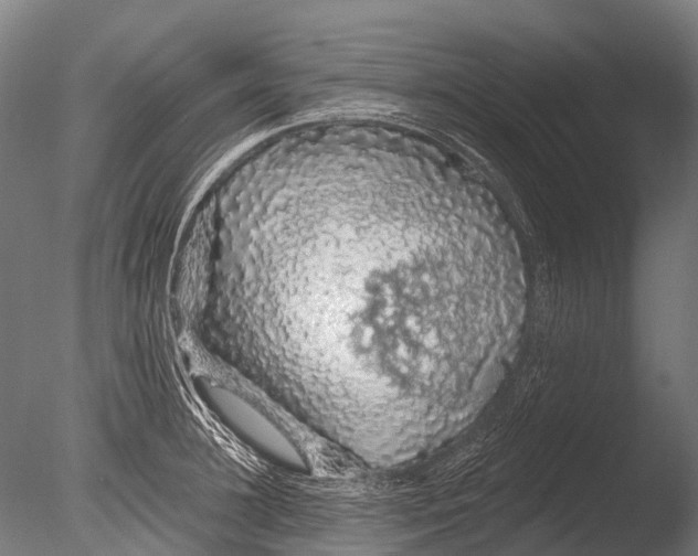 X0000085060948200703261201