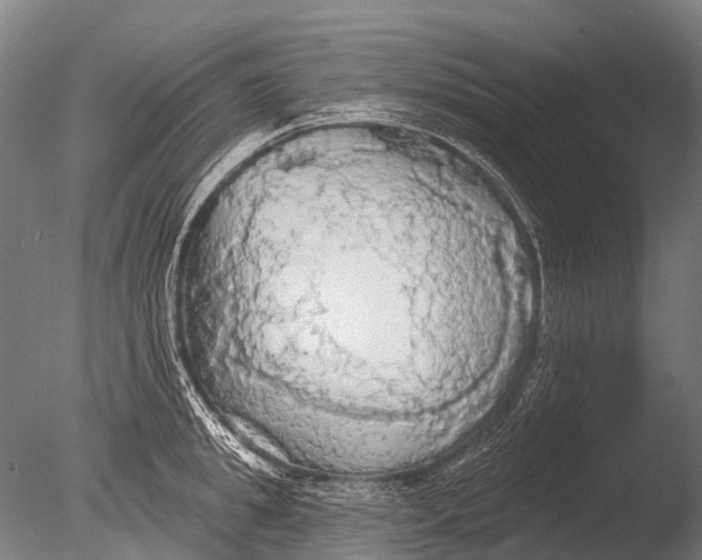 X0000085060949200703261201