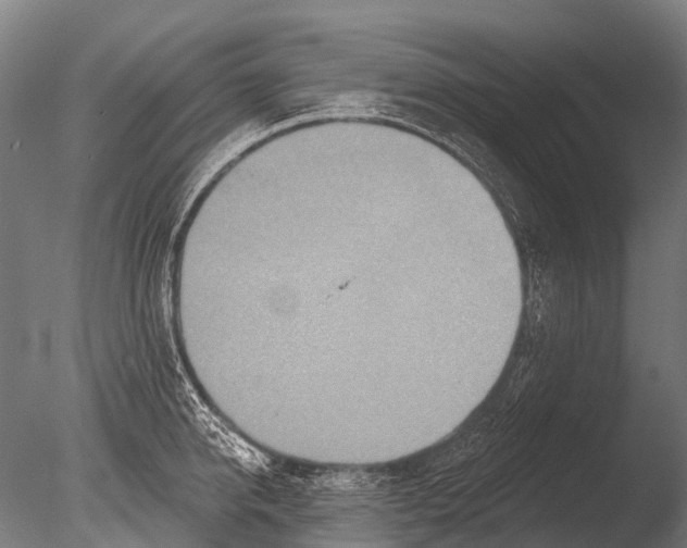 X0000085060950200703261201