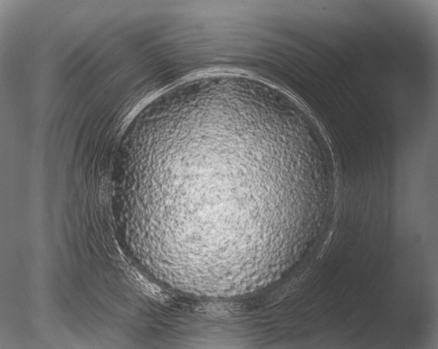 X0000085060953200703261201