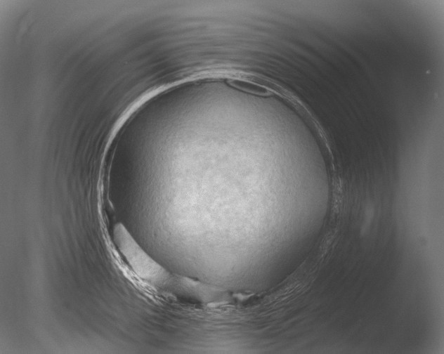 X0000085060955200703261201