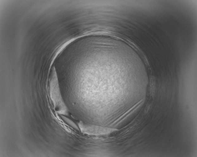 X0000085060956200703261201