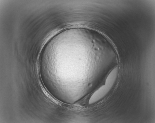 X0000085060957200703261201