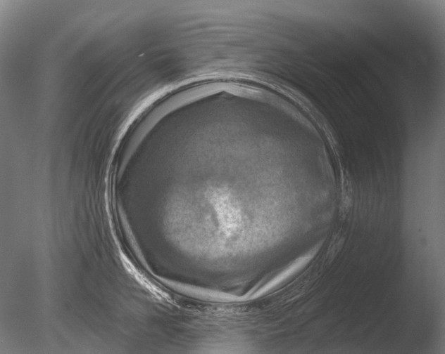 X0000085060958200703261201