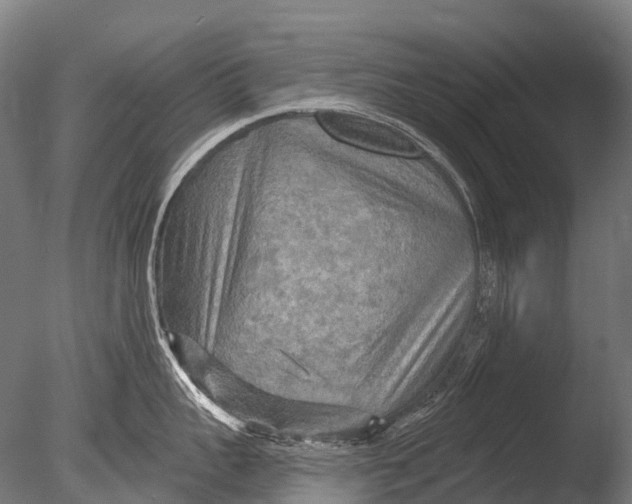 X0000085060959200703261201