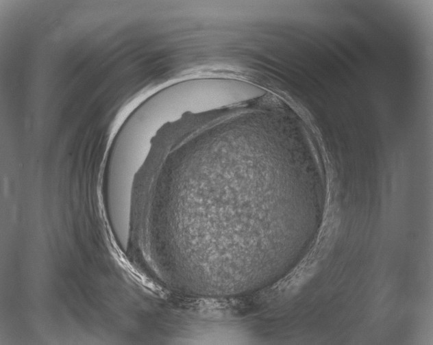 X0000085060960200703261201