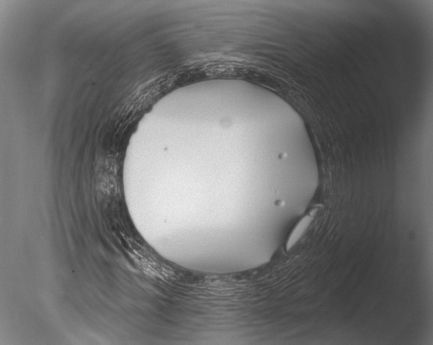 X0000085060964200703261200