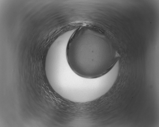 X0000085060965200703261200