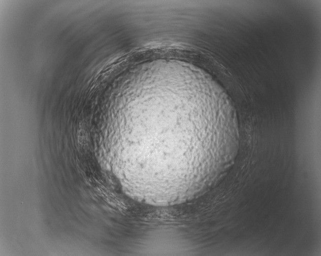 X0000085060966200703261200