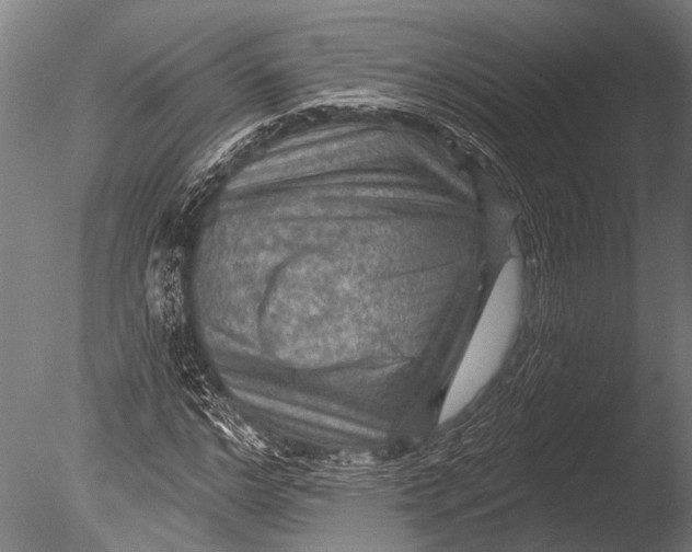 X0000085060968200703261200