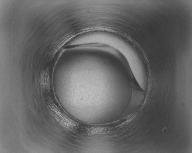 X0000085060969200703261200