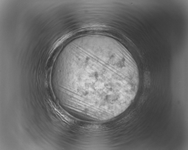 X0000085060970200703261200