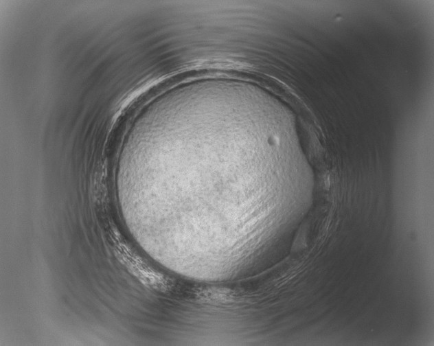 X0000085060971200703261200