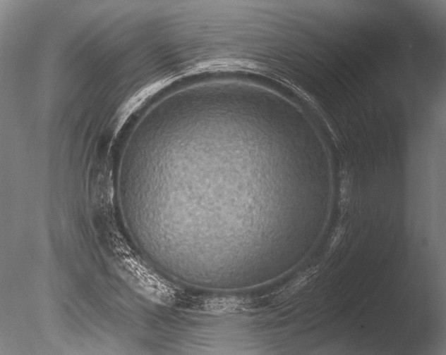 X0000085060973200703261200