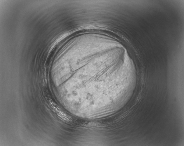 X0000085060974200703261200