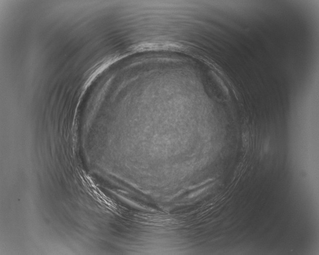 X0000085060975200703261200