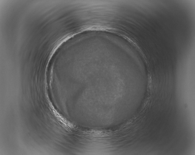 X0000085060976200703261200