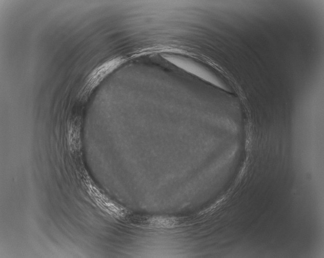 X0000085060977200703261200