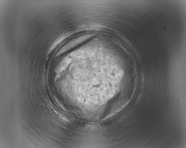 X0000085060978200703261200