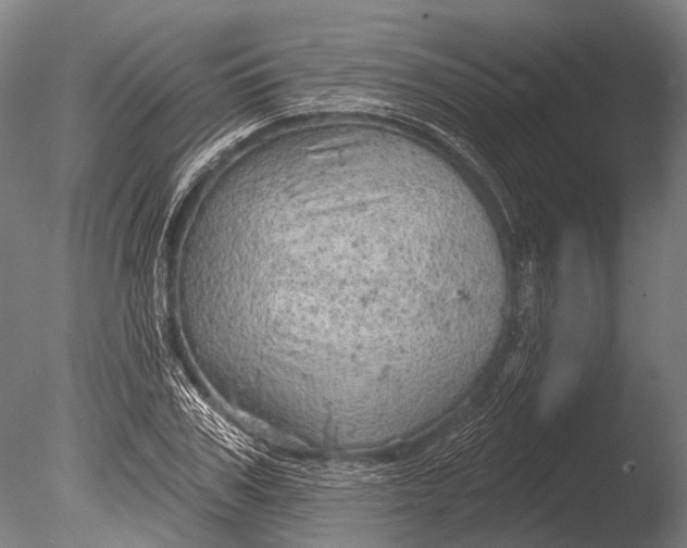 X0000085060979200703261200