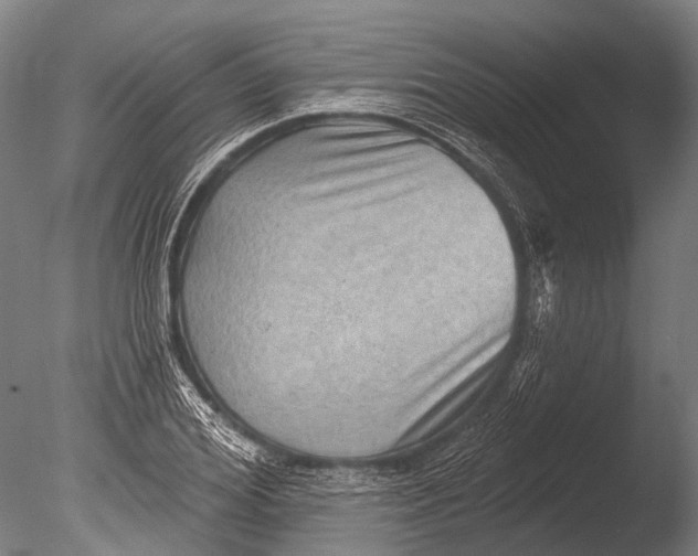 X0000085060980200703261200