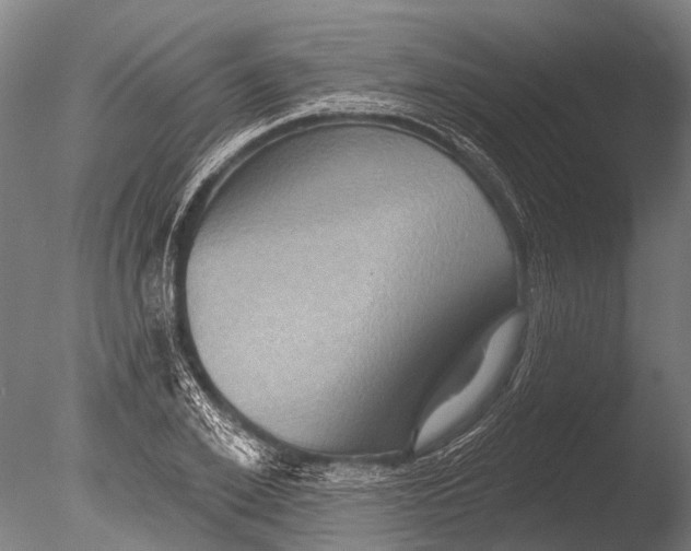 X0000085060981200703261200