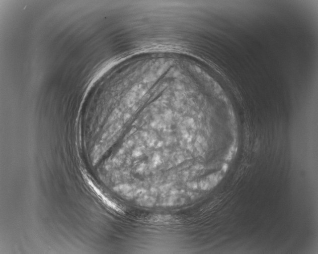 X0000085060982200703261200