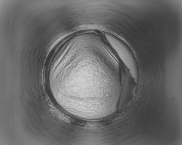 X0000085060983200703261200