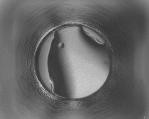 X0000085060984200703261200