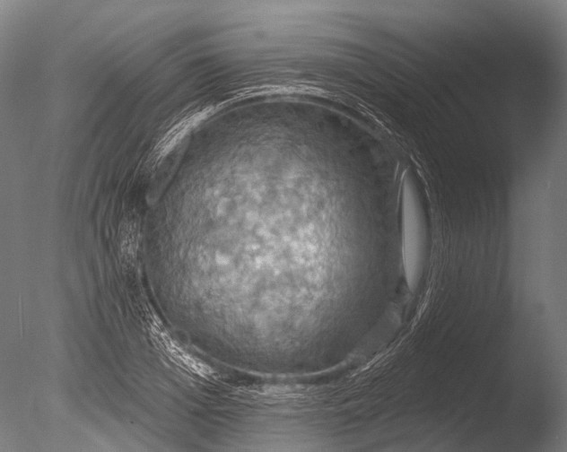 X0000085060985200703261200